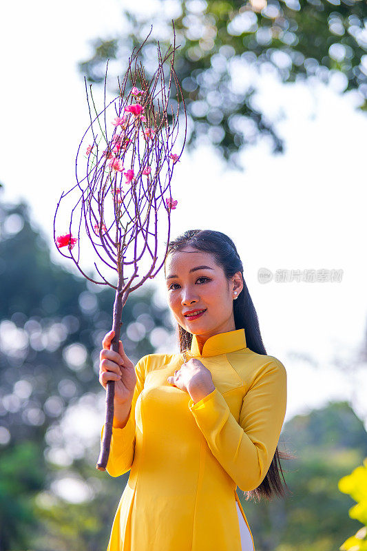 越南女孩穿着传统的ao dai服装，手持花枝在越南享受新年。春节和新年。